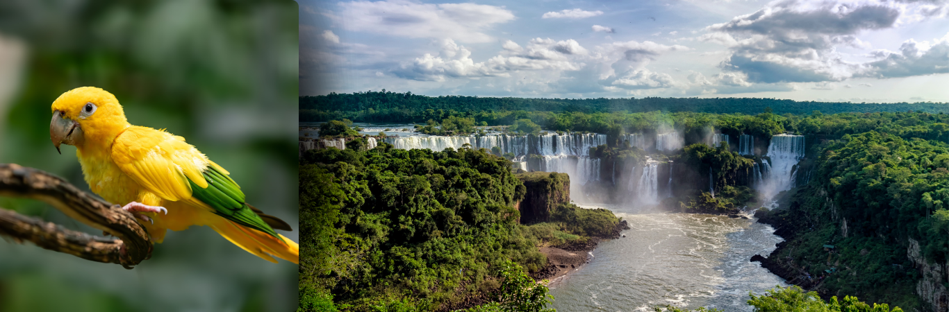 Feriadão Corpus Christi nas Cataratas - Foz do Iguaçu - Argentina - Paraguai